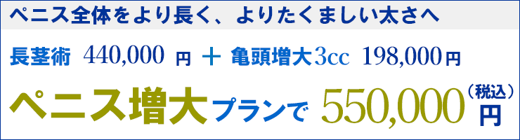 ペニス増大プラン